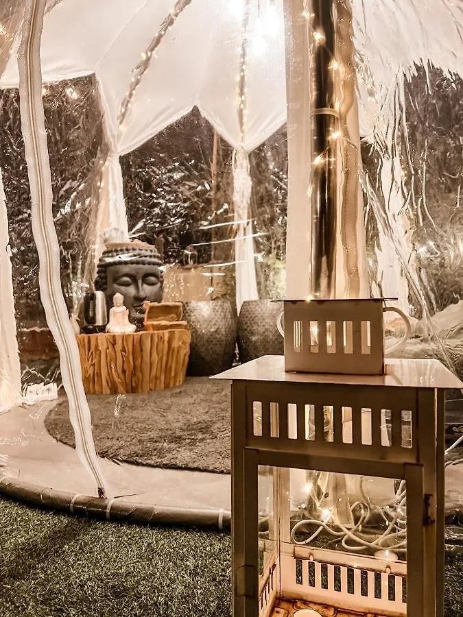 Bed & Breakfast Rooftop Colosseo - Roma D'Amore